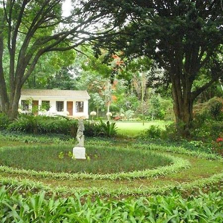 White House Bed And Breakfast Guest House Hillcrest Exteriér fotografie